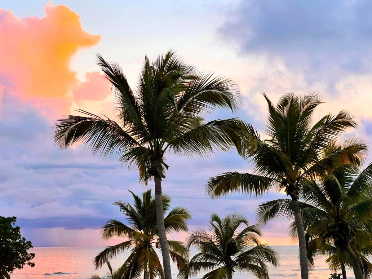 La Perle Des Caraibes Apartamento Sainte-Anne  Exterior foto